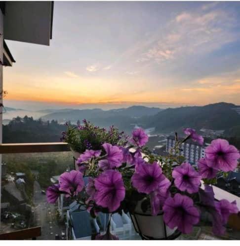 Kensington Sunrise Sg, Palas Horizon,Kea Farm Brinchang Exteriör bild